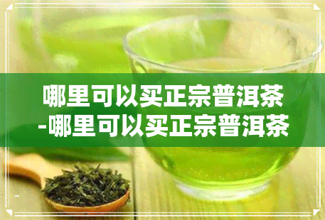 哪里可以买正宗普洱茶-哪里可以买正宗普洱茶的