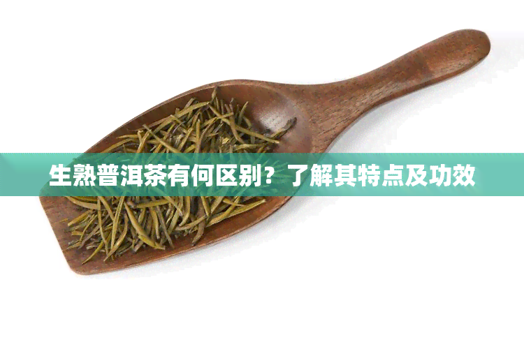 生熟普洱茶有何区别？了解其特点及功效