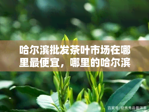 哈尔滨批发茶叶市场在哪里更便宜，哪里的哈尔滨茶叶场更便宜？