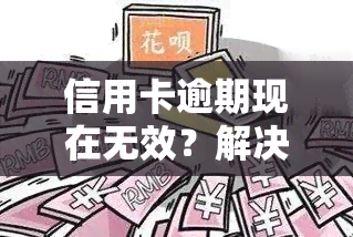 信用卡逾期现在无效？解决方案全解析！