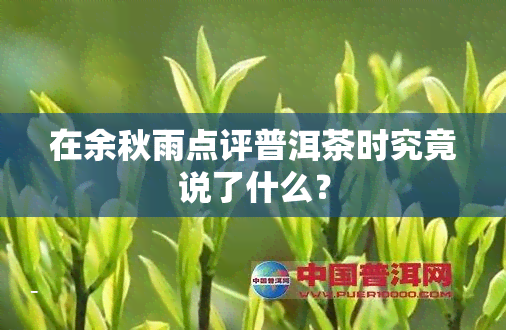 在余秋雨点评普洱茶时究竟说了什么？