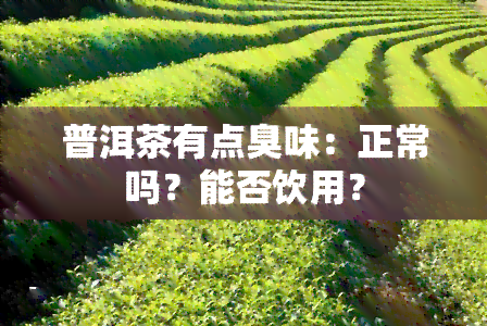 普洱茶有点臭味：正常吗？能否饮用？