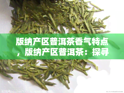 版纳产区普洱茶香气特点，版纳产区普洱茶：探寻其独特的香气特点