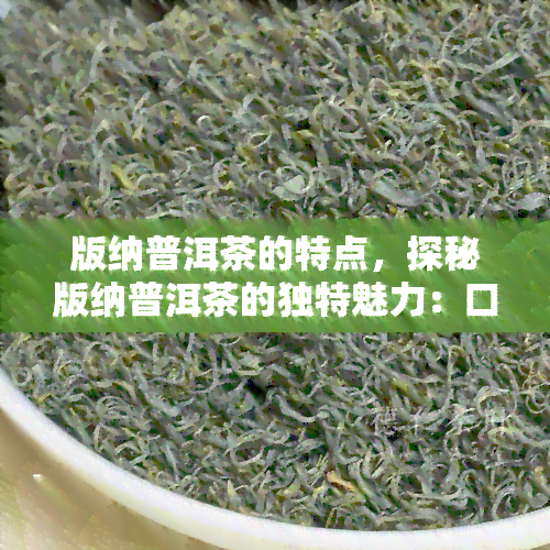 版纳普洱茶的特点，探秘版纳普洱茶的独特魅力：口感、香气与功效解析