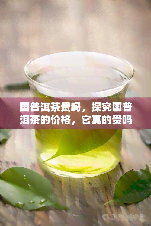 国普洱茶贵吗，探究国普洱茶的价格，它真的贵吗？