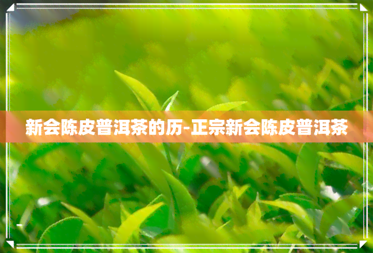 新会陈皮普洱茶的历-正宗新会陈皮普洱茶