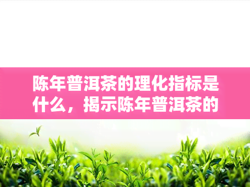 陈年普洱茶的理化指标是什么，揭示陈年普洱茶的理化特性：关键指标解析