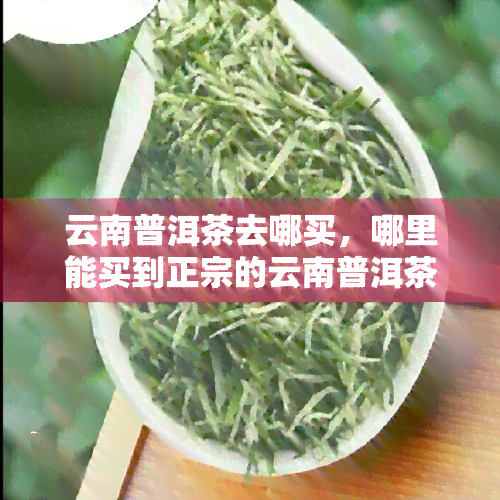 云南普洱茶去哪买，哪里能买到正宗的云南普洱茶？