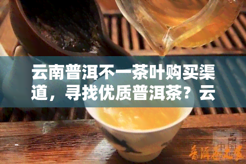 云南普洱不一茶叶购买渠道，寻找优质普洱茶？云南普洱不一茶叶购买渠道推荐！