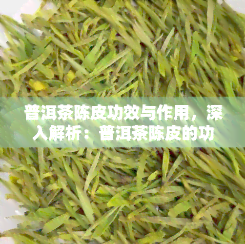 普洱茶陈皮功效与作用，深入解析：普洱茶陈皮的功效与作用