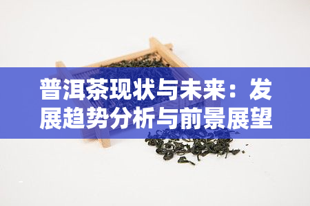 普洱茶现状与未来：发展趋势分析与前景展望