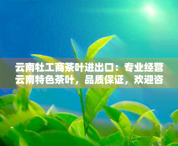 云南牡工商茶叶进出口：专业经营云南特色茶叶，品质保证，欢迎咨询采购！