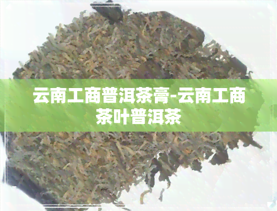 云南工商普洱茶膏-云南工商茶叶普洱茶