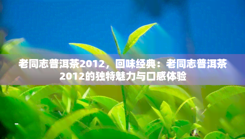 老同志普洱茶2012，回味经典：老同志普洱茶2012的独特魅力与口感体验