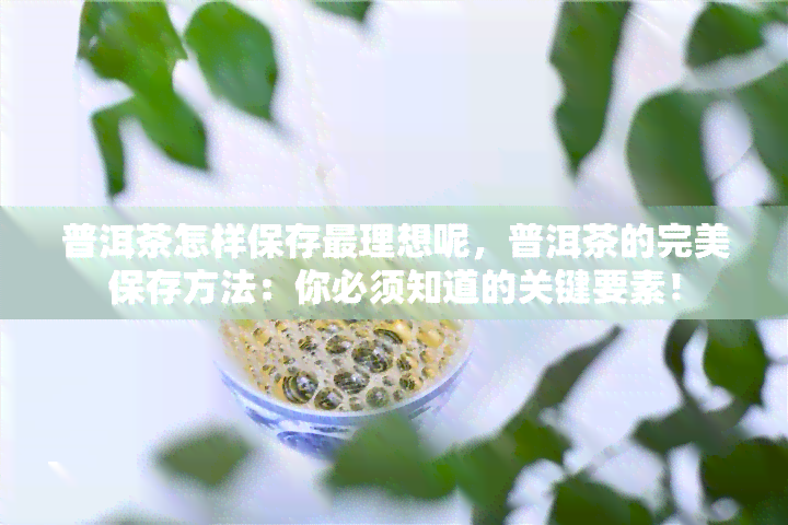 普洱茶怎样保存最理想呢，普洱茶的完美保存方法：你必须知道的关键要素！