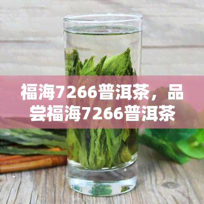 福海7266普洱茶，品尝福海7266普洱茶：一种独特的中国茶叶体验