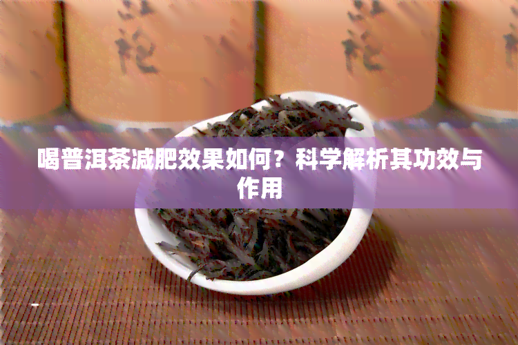 喝普洱茶减肥效果如何？科学解析其功效与作用