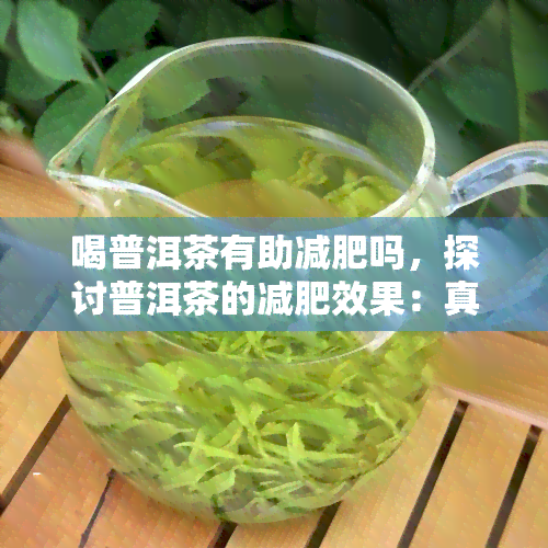 喝普洱茶有助减肥吗，探讨普洱茶的减肥效果：真相大揭秘！