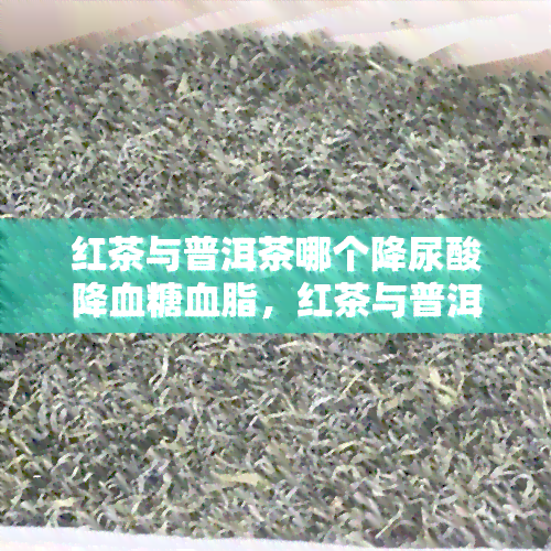 红茶与普洱茶哪个降尿酸降血糖血脂，红茶与普洱茶：哪个更能有效降低尿酸、血糖和血脂？