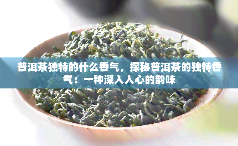 普洱茶独特的什么香气，探秘普洱茶的独特香气：一种深入人心的韵味