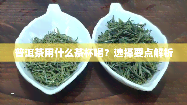 普洱茶用什么茶杯喝？选择要点解析