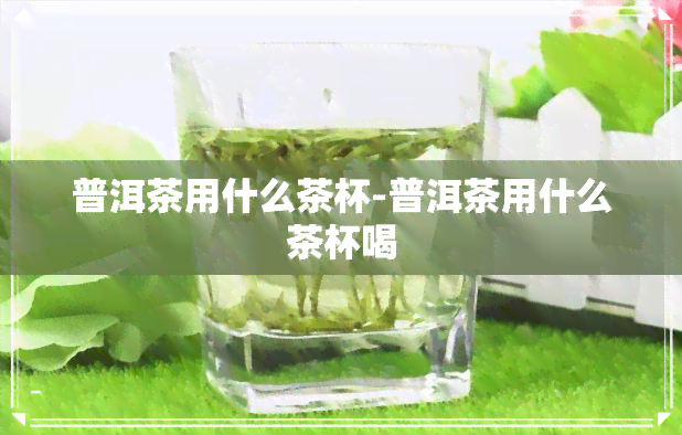 普洱茶用什么茶杯-普洱茶用什么茶杯喝