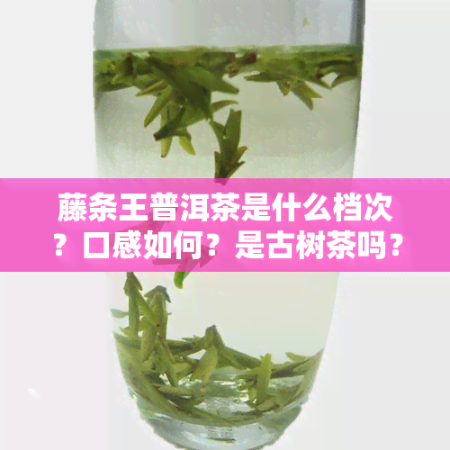 藤条王普洱茶是什么档次？口感如何？是古树茶吗？