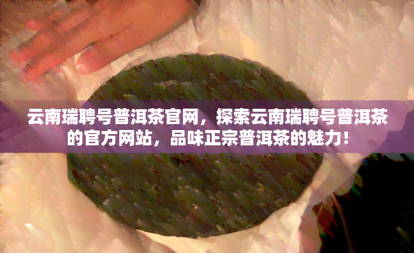 云南瑞聘号普洱茶官网，探索云南瑞聘号普洱茶的官方网站，品味正宗普洱茶的魅力！