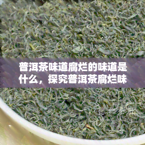 普洱茶味道腐烂的味道是什么，探究普洱茶腐烂味的来源与特点