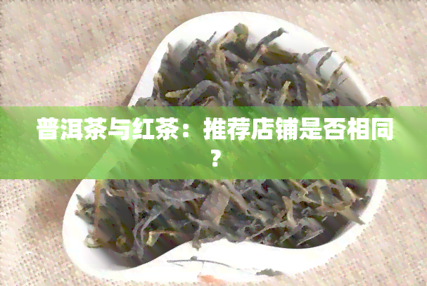 普洱茶与红茶：推荐店铺是否相同？