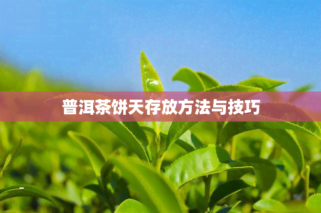 普洱茶饼天存放方法与技巧