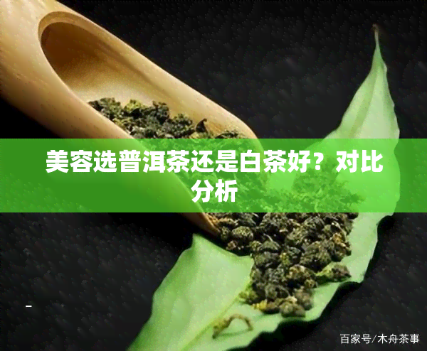 美容选普洱茶还是白茶好？对比分析