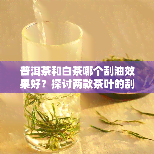 普洱茶和白茶哪个刮油效果好？探讨两款茶叶的刮油能力