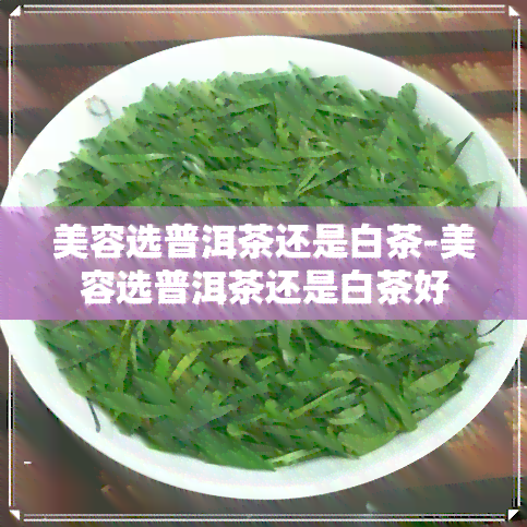 美容选普洱茶还是白茶-美容选普洱茶还是白茶好