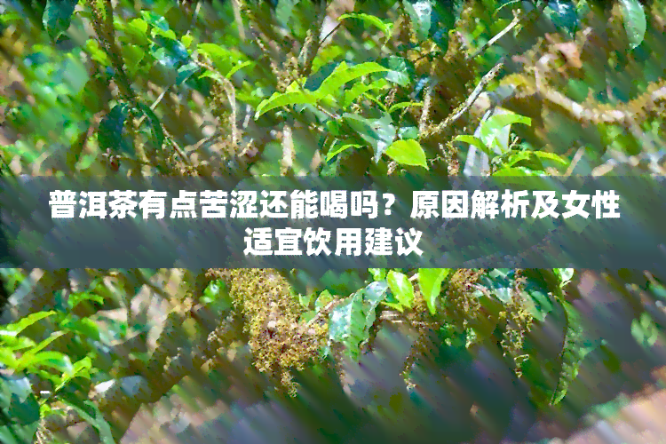 普洱茶有点苦涩还能喝吗？原因解析及女性适宜饮用建议