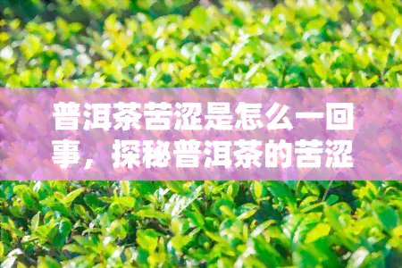 普洱茶苦涩是怎么一回事，探秘普洱茶的苦涩：原因解析与品鉴技巧