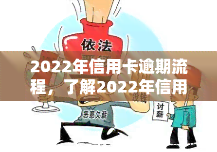 2022年信用卡逾期流程，了解2022年信用卡逾期的处理流程