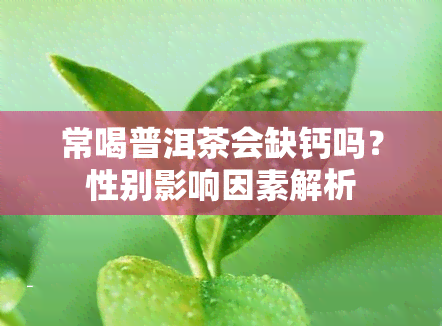 常喝普洱茶会缺钙吗？性别影响因素解析