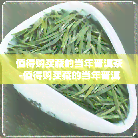 值得购买藏的当年普洱茶-值得购买藏的当年普洱茶有哪些