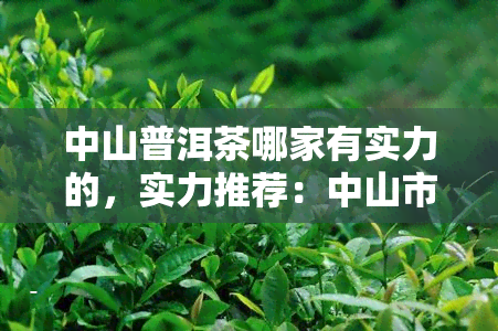 中山普洱茶哪家有实力的，实力推荐：中山市更具实力的普洱茶有哪些？