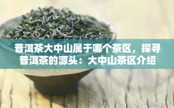 普洱茶大中山属于哪个茶区，探寻普洱茶的源头：大中山茶区介绍