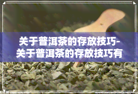 关于普洱茶的存放技巧-关于普洱茶的存放技巧有哪些