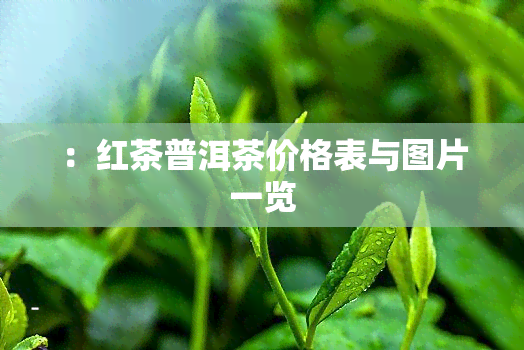 ：红茶普洱茶价格表与图片一览