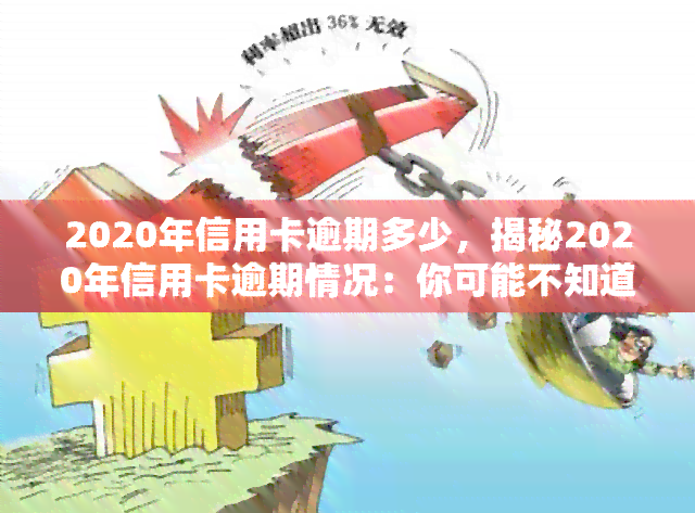 2020年信用卡逾期多少，揭秘2020年信用卡逾期情况：你可能不知道的惊人数据！