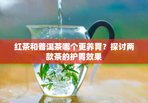 红茶和普洱茶哪个更养胃？探讨两款茶的护胃效果