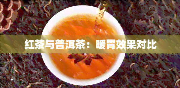 红茶与普洱茶：暖胃效果对比