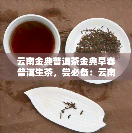 云南金典普洱茶金典早春普洱生茶，尝必备：云南金典普洱茶金典早春普洱生茶