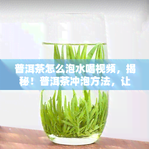 普洱茶怎么泡水喝视频，揭秘！普洱茶冲泡方法，让你品味醇厚好茶！