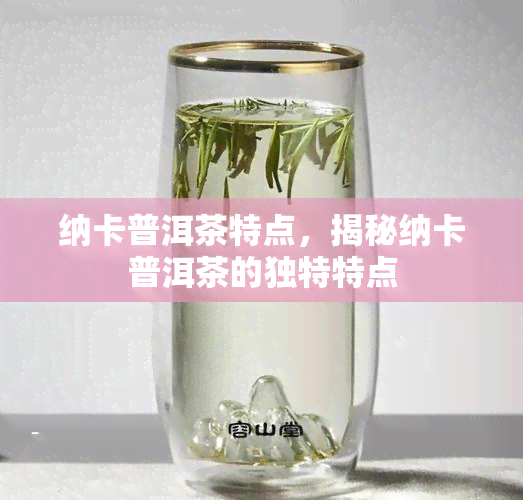 纳卡普洱茶特点，揭秘纳卡普洱茶的独特特点