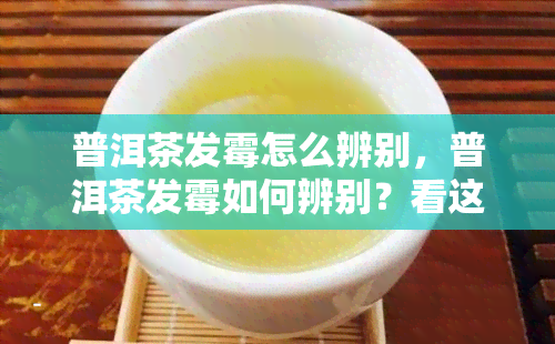 普洱茶发霉怎么辨别，普洱茶发霉如何辨别？看这里！